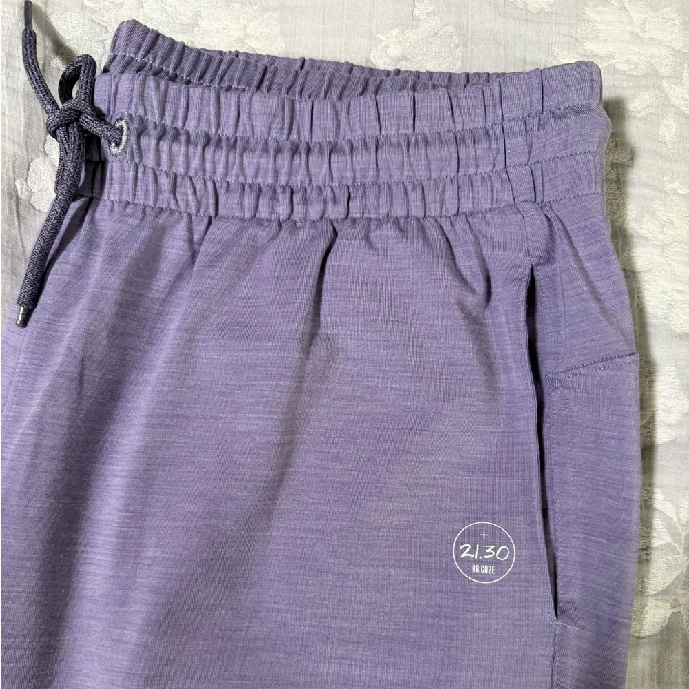 Allbirds Purple Merino Wool Blend 21.30 Natural Performance Jogger (Size XL) - Picture 3 of 6